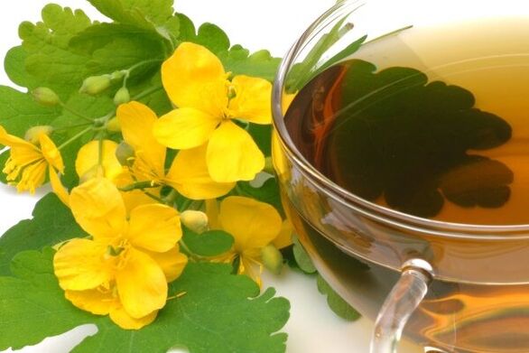 celandine infusion for the treatment of prostatitis